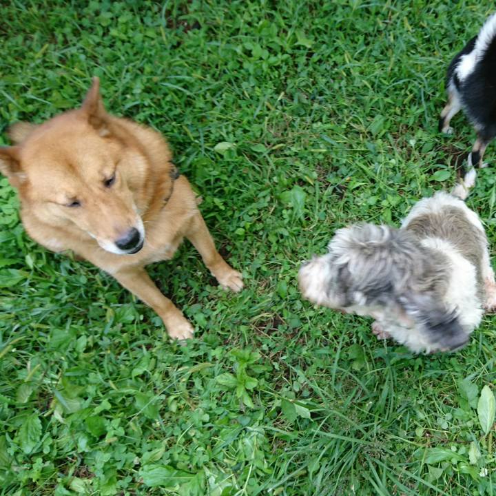 5eb17c55 0308 41af b3de 59bee3a84fa6