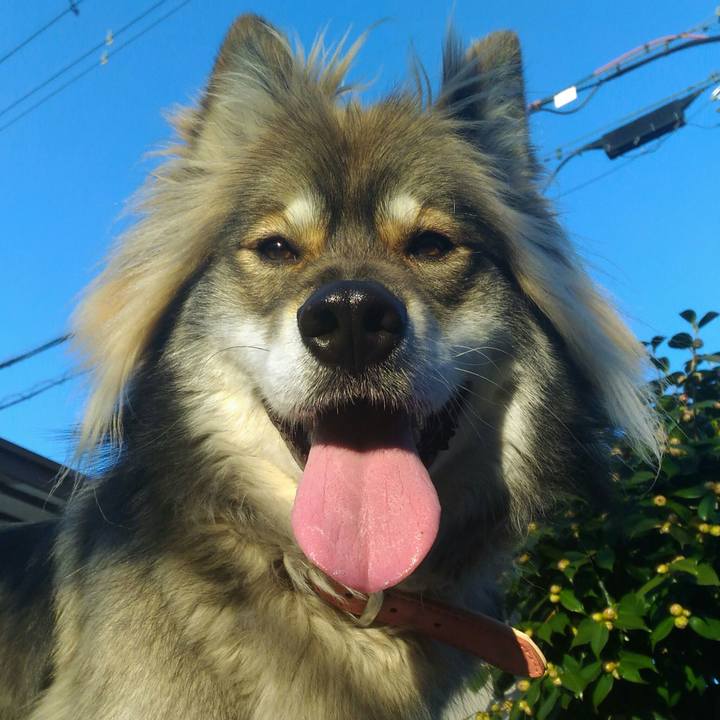 5eb2a451 da8e 47ba 91af d84a1cc5aa4f