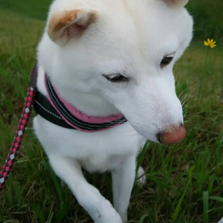 5eb2bb0a 93b2 4c72 938c 566ebda03834