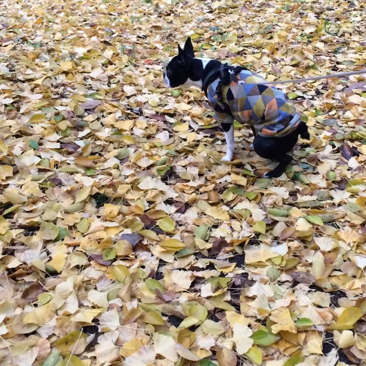 5eb32c05 cbc0 4786 942c 5aea61819711