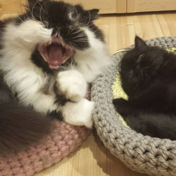 5eb36555 0d55 485a 94c8 14c798fa786a