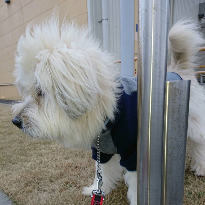 5eb36cbb 35b1 4ff4 b708 6bd509ef45d3