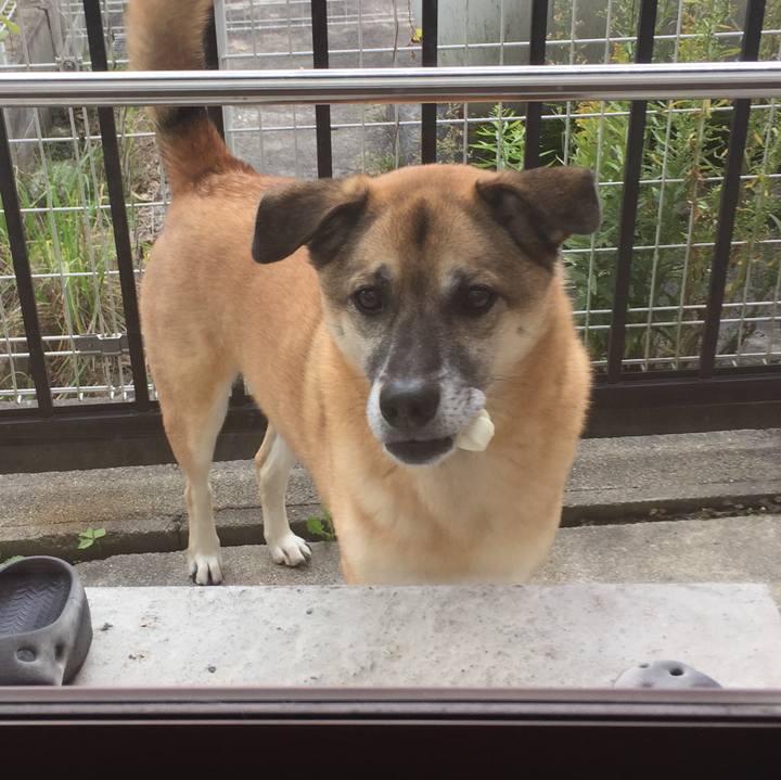 5eb39d3d 9b09 4828 84b5 e94f08ea00be