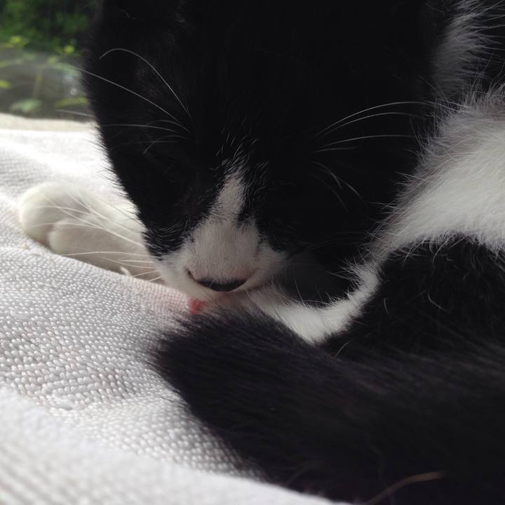 5eb3a9a4 936b 49e9 9235 7a44a949e019