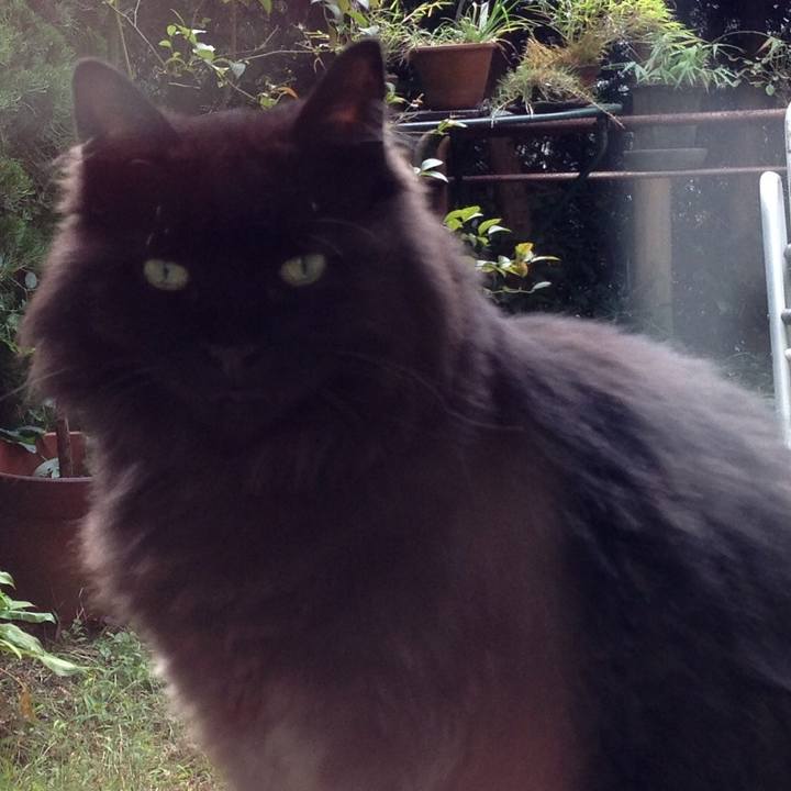 5eb5b961 8b70 42c8 b685 aa789754312b