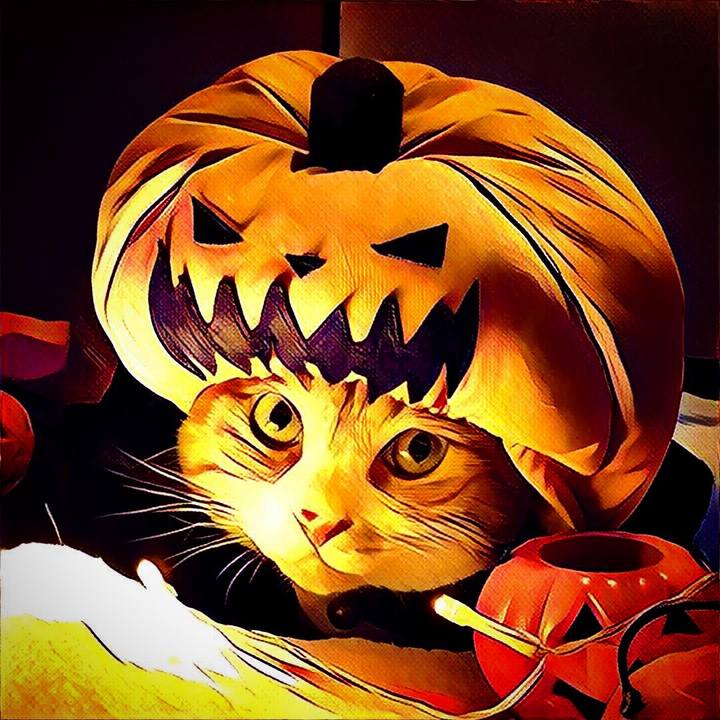 5eb61c39 9f4f 4c78 a869 a2c64fb7eea1