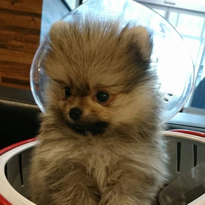 5eb62583 2c11 46a2 861d cf8173b67f1f