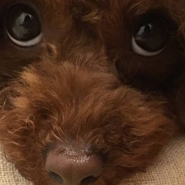 5eb6f253 385f 4cee 8bc2 384b50c3a054