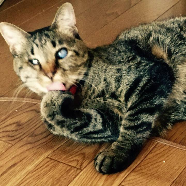 5eb6fa64 abae 40e2 89df 52c9908230d6