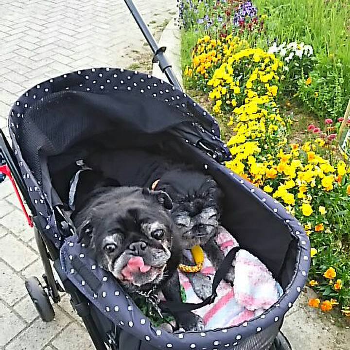 5eb70117 0880 4d85 8b2a cce92ba951b2