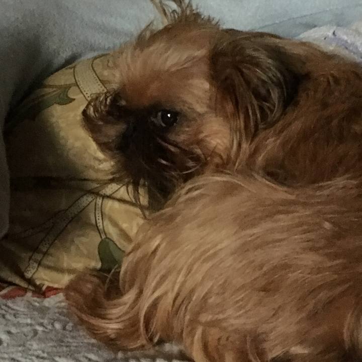 5eb76a84 865c 4d70 bbb8 5ef63b0f827c