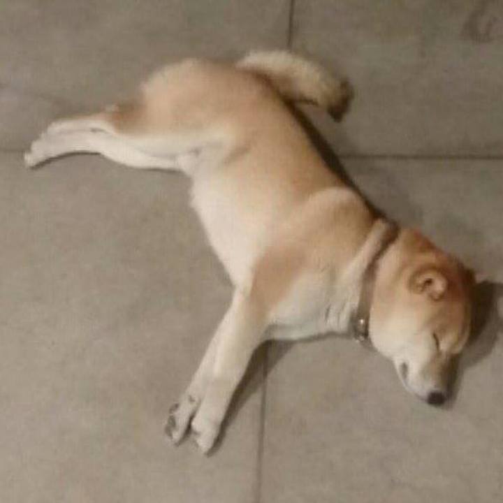 5eb77dbc 4c03 4846 9d29 f95db3968599