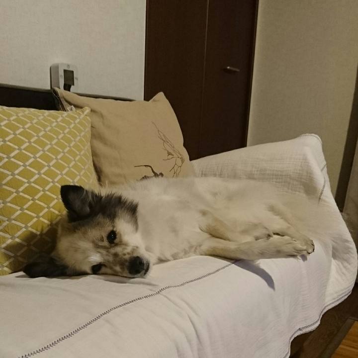 5eb7c100 7124 48e5 adff 2a7653d4ec5a