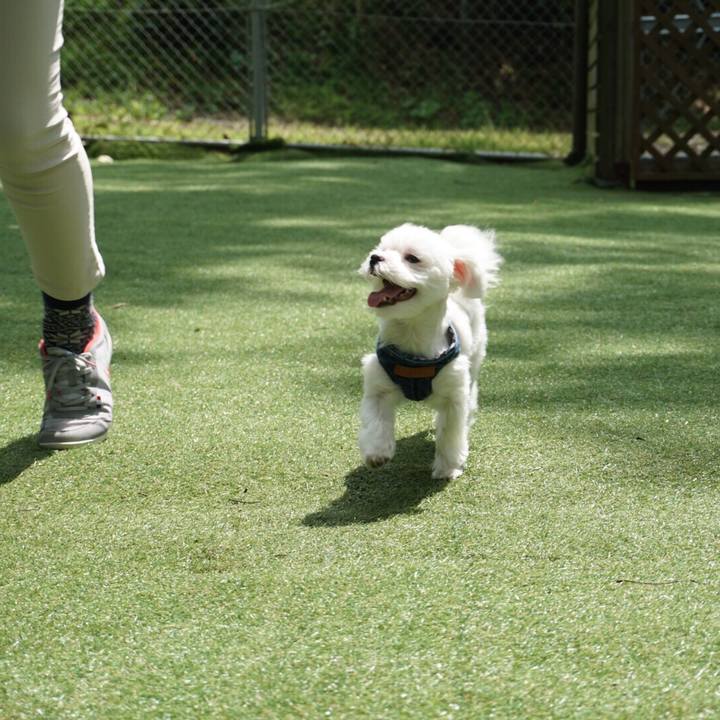 5eb7d5f9 baa2 4c65 b6ca 70904a11eab3