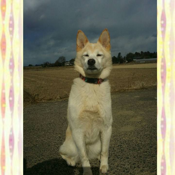 5eb8c304 327e 41f9 9af9 95b993fc1bf2