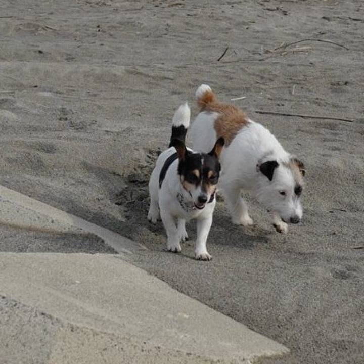 5eb8f439 2f52 4bb8 8cc6 db872c74f1ba