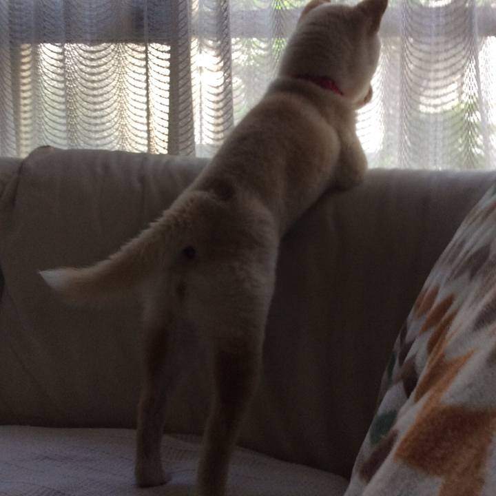 5eb971cb 2d62 4a66 871c 068398cd9e92