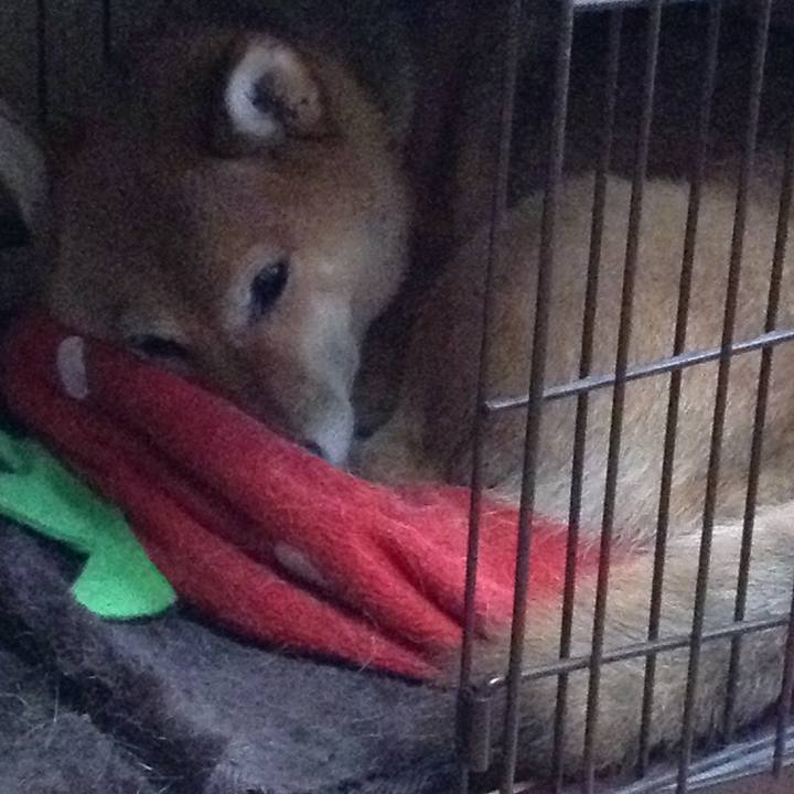 5eb97c67 4557 4ef2 ac7d 88bc001713c7