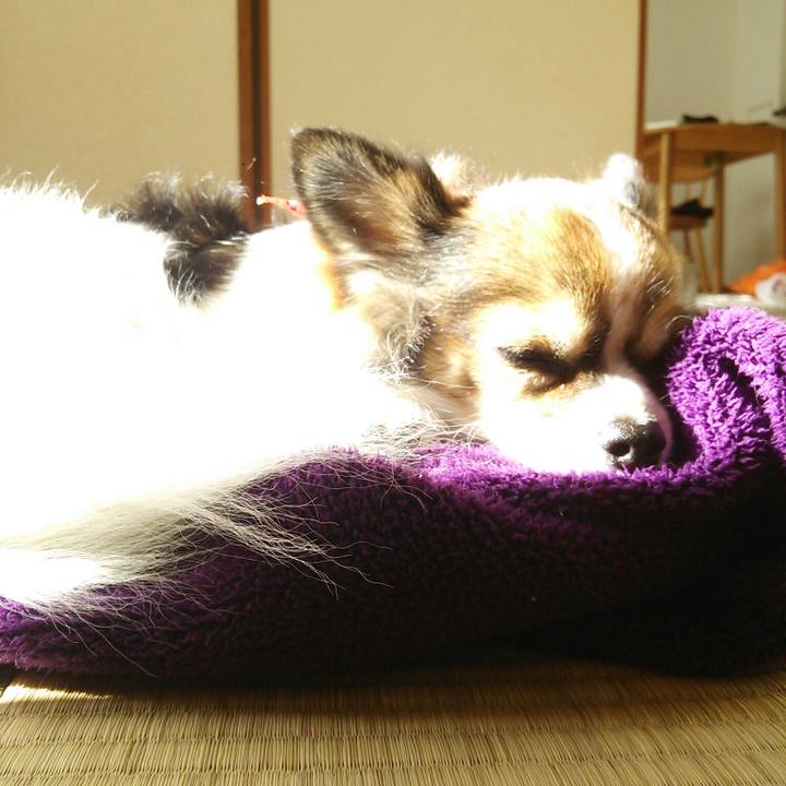 5eb98b67 66c6 4058 b2ff 8c3288453b28