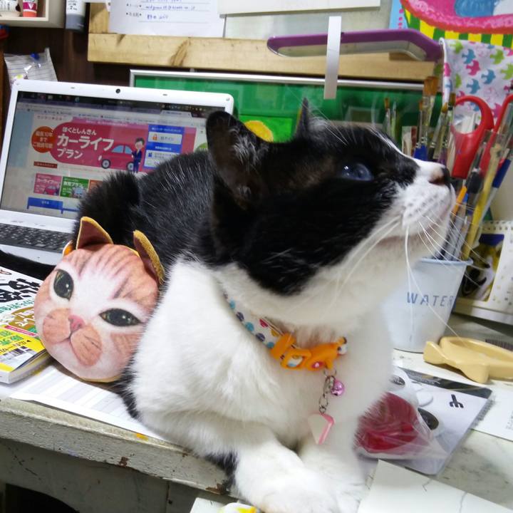 5ebabf6e d3d0 4fc8 addc 0cfd321a0b79