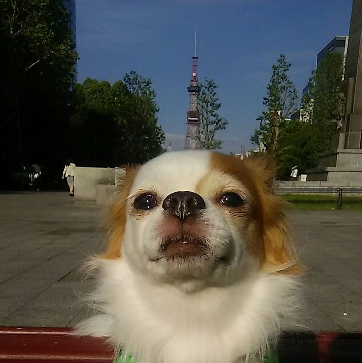 5ebadcbd 456d 42fa 95a6 f5716ad20c2f