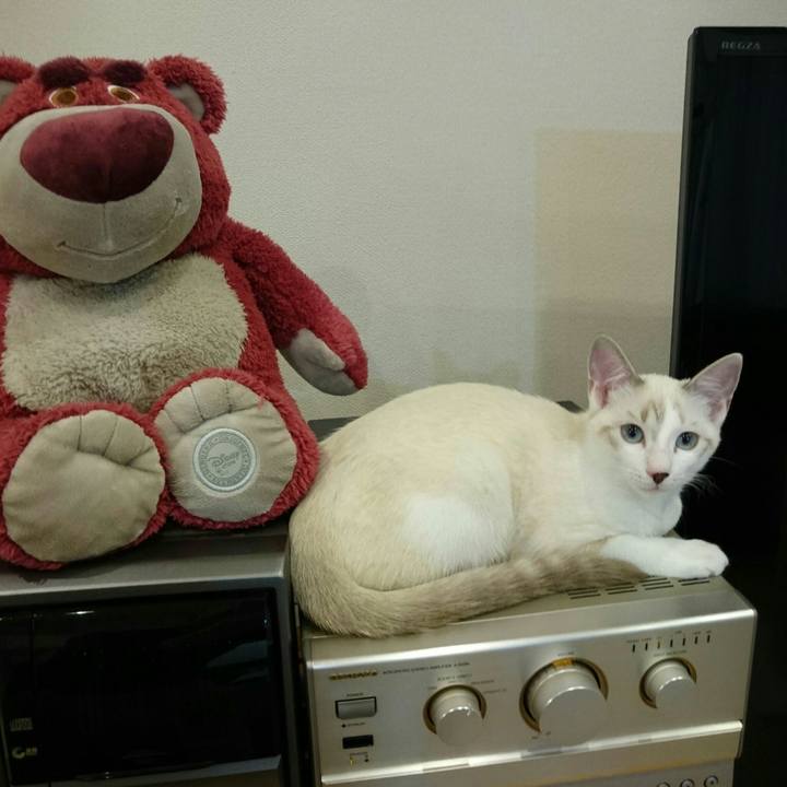 5ebb6e7f 7036 48b0 b998 39deb182c166