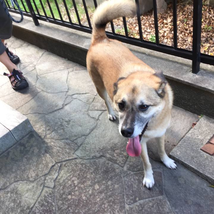 5ebb7561 77ff 4a4d a9a8 a1ef9bfc3646