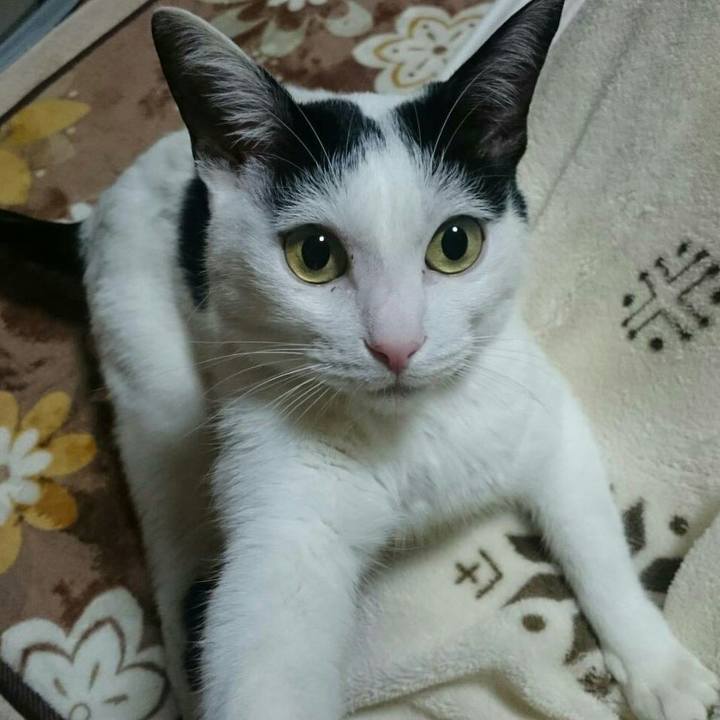 5ebbfdbf 1231 41e4 b7b0 a964dad5b5d2