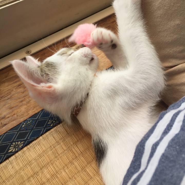 5ebd79fc 6e7a 470e b123 558346a7b4a9