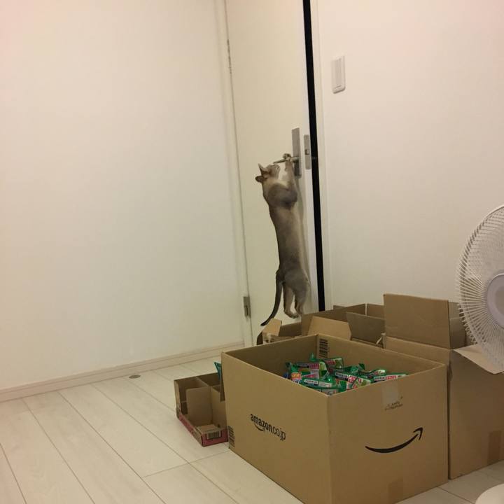 5ebdfb5c c63f 45e4 a9e6 153d380fba9e