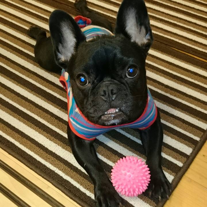 5ebe404e 2d34 4e2c b24f a1fcb8758e9b