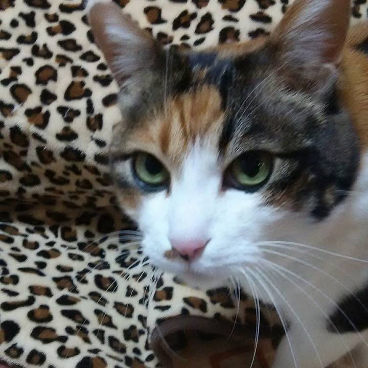 5ebeab22 a3a4 47ee 893f 170180e10e25