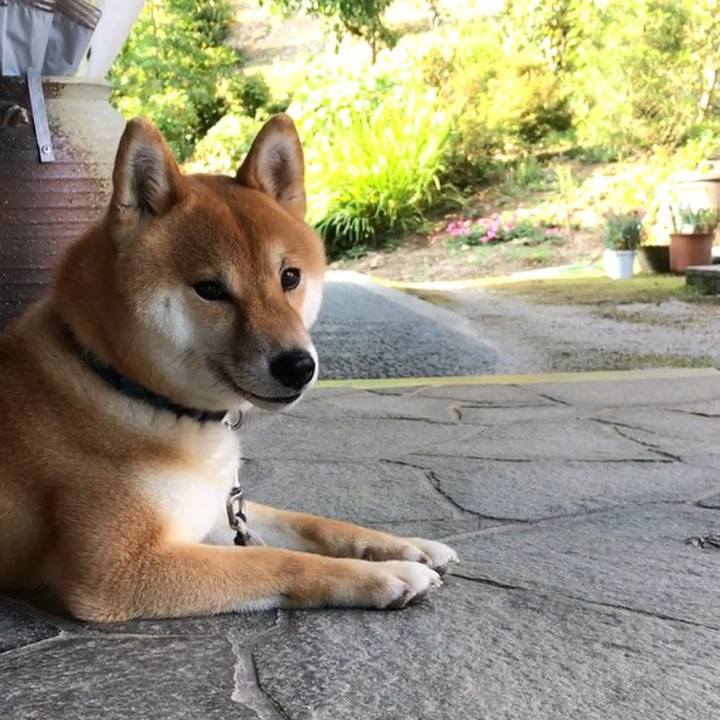 5ebf14ae 5027 4a50 9161 872b796c8d88