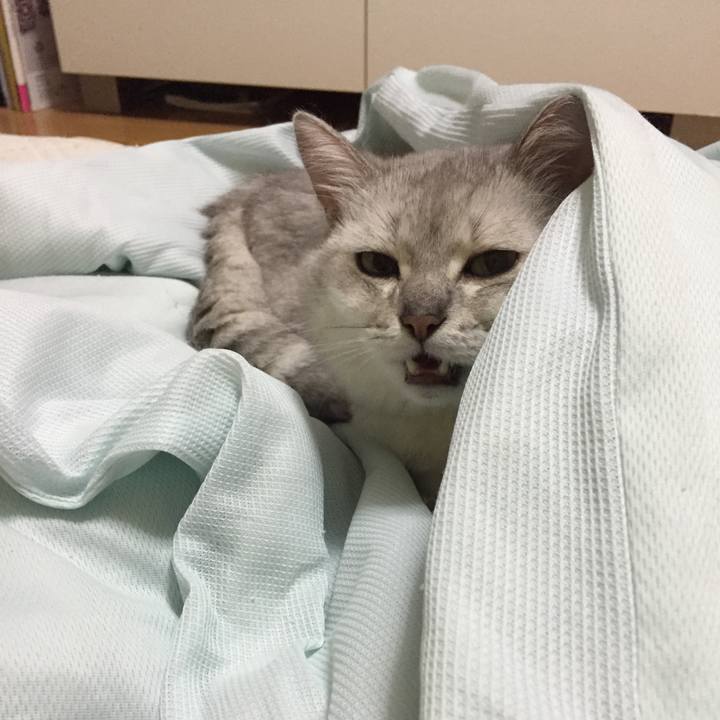 5ebf2eb7 4752 43a5 b915 1e86d4039f76