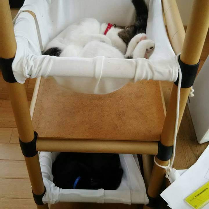 5ebf4f42 7cd2 4fd4 b3cf 55b08ca39490