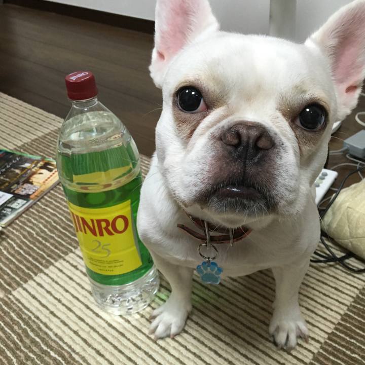 5ebf7bda 9d7d 4b7a 9e50 7deb9caf2e26