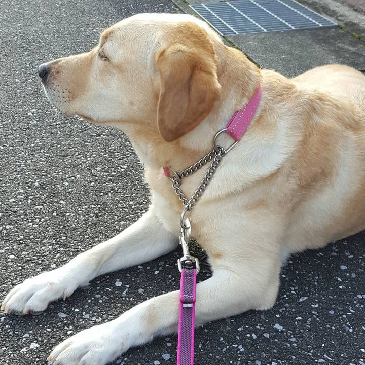 5ebffb4c bd15 4c83 9299 074cc309b34f