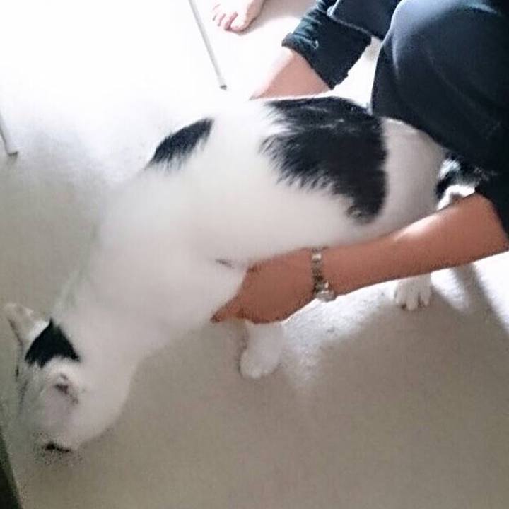 5ec08762 0203 457e 8992 834085202466