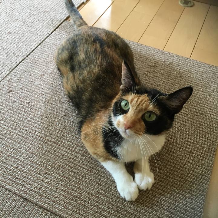 5ec0b5f0 246f 46ac 9e7c 799b90db7f29