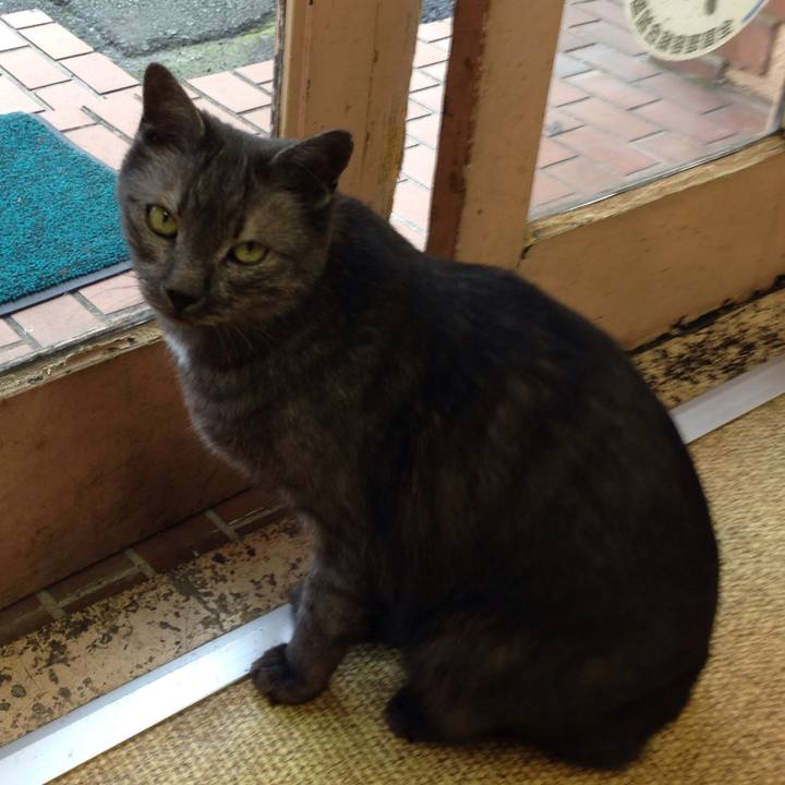 5ec0e04d 7e9d 4b81 ad69 7945210a9d9a