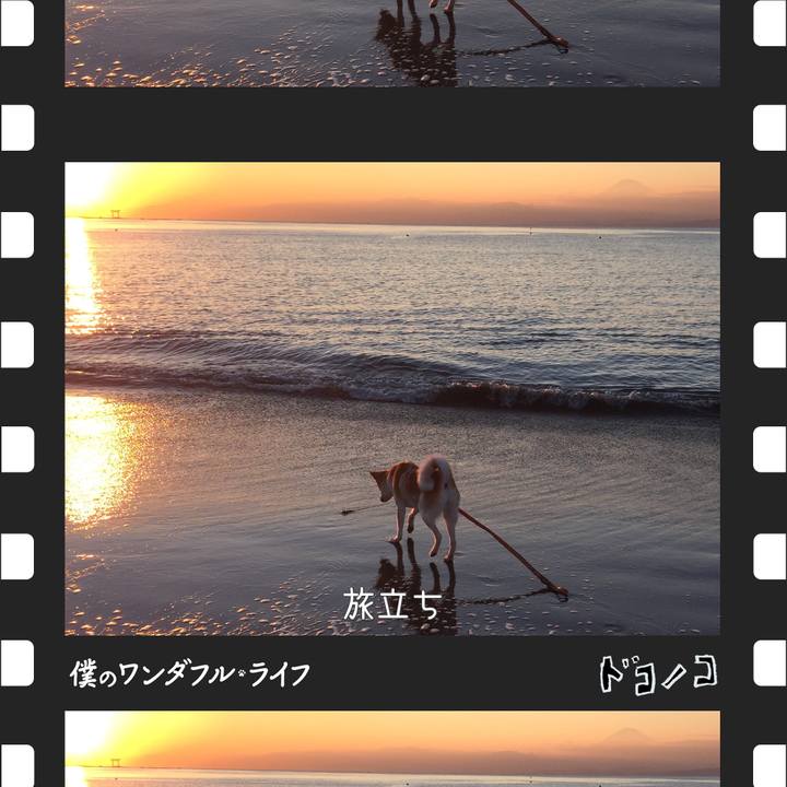 5ec11a75 f2cb 46bd 97c9 5d1308fe0c09