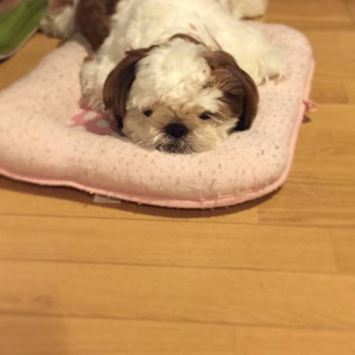 5ec1d75b 8209 458a 9609 7a558ff42760