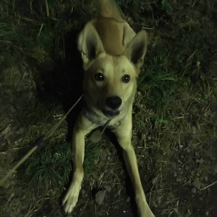 5ec1dce1 47a3 4e6e 91ef 21d64092d84f