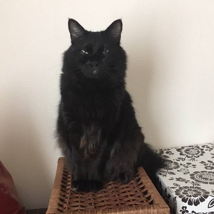 5ec1e5db 54f5 4c45 a5d4 92918e4e801b