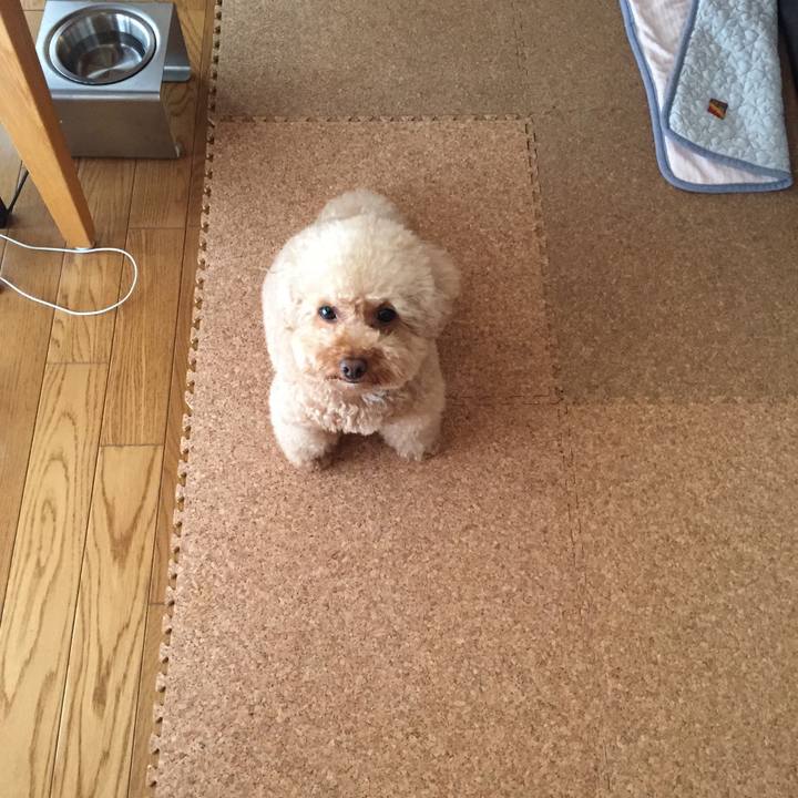 5ec220a3 512d 4229 bbd3 4c2197372f6f