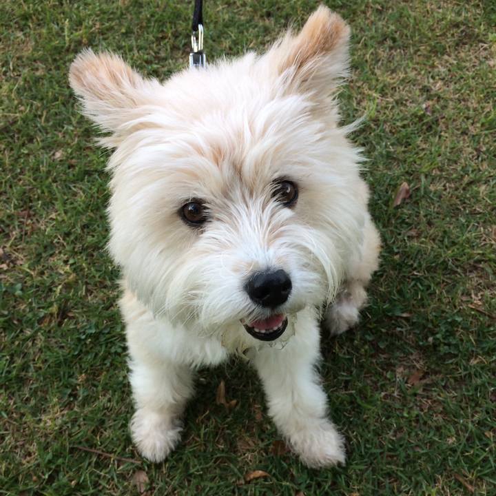 5ec2662c 246a 45f2 ae82 626183b1d6da