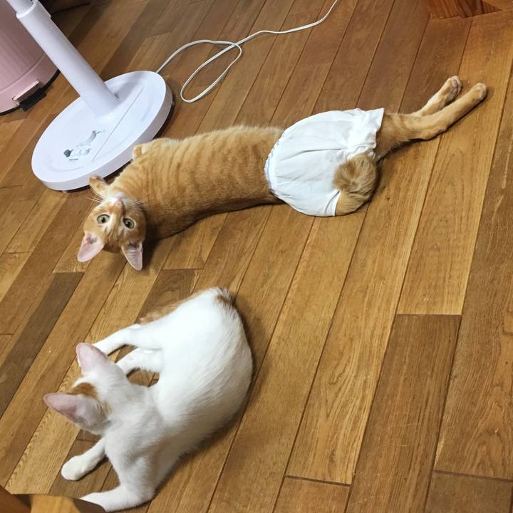 5ec2a826 2f7f 466c b5cb 91a20c745543