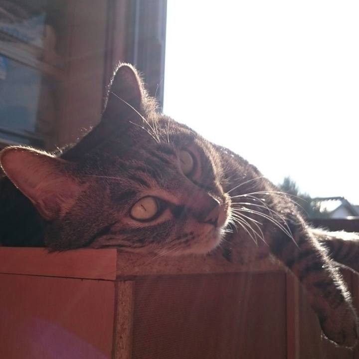 5ec34047 d1d5 4566 a0e1 547330475861