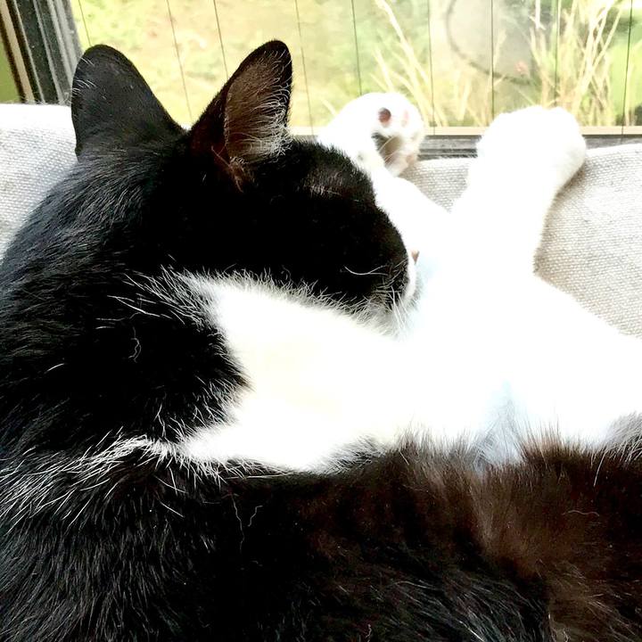 5ec4dbdd ea2f 4c4f a8a2 e7875e74b2fb