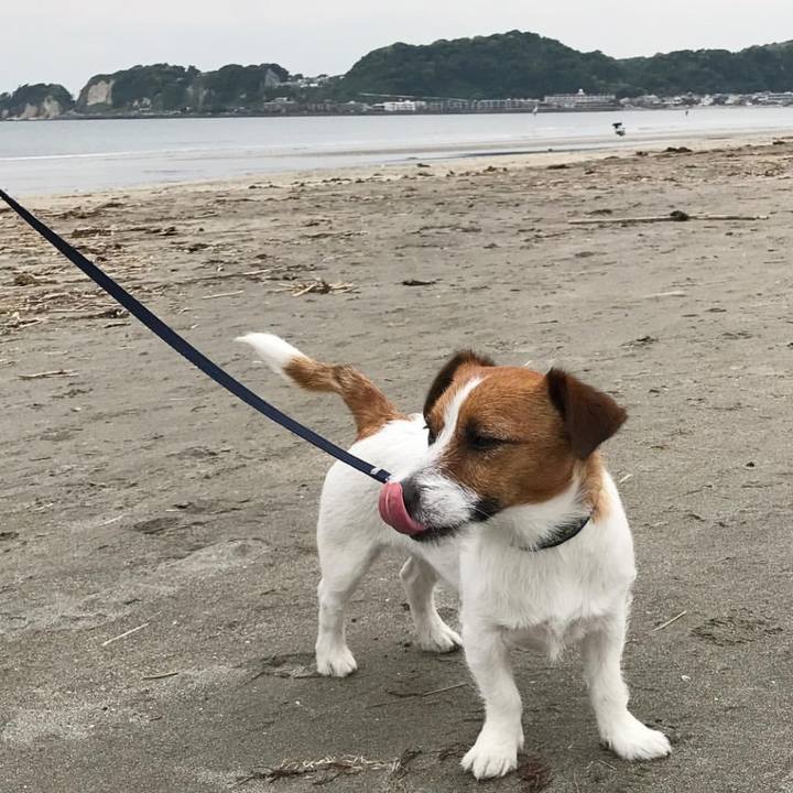 5ec4e4ee ceb4 4061 aaae 82266e9a3b87